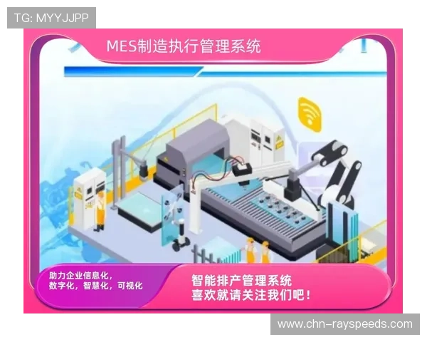 定制化服务需求上升 推动个性化方案设计